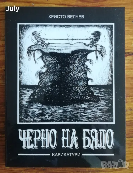 Черно на бяло, Христо Велчев/ Живот ли е да го опишеш, Дулинко Дулев, снимка 1