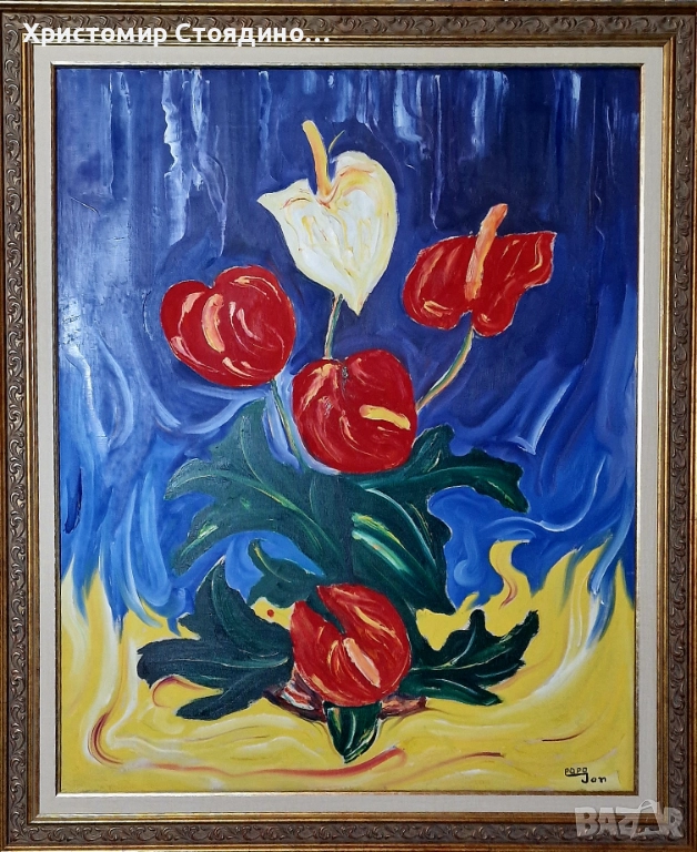 Картина на Папа Жан Антуриум , снимка 1