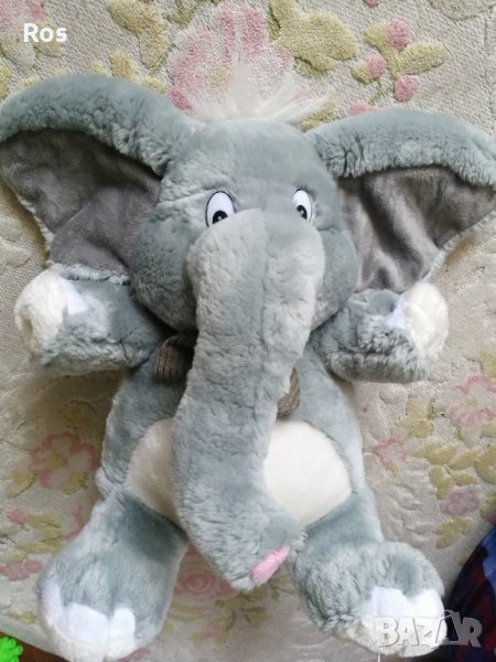 Голямо слонче, снимка 1