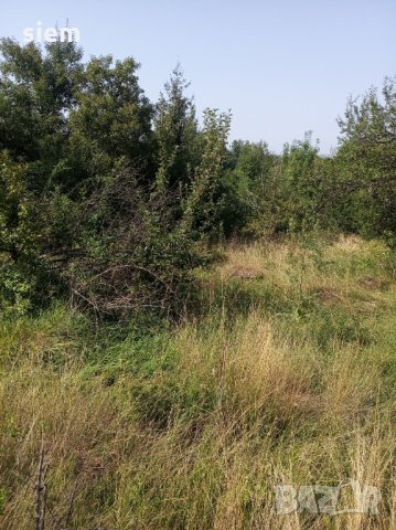 Дворно място/ Парцел 1000 кв.м, снимка 5 - Парцели - 33885672