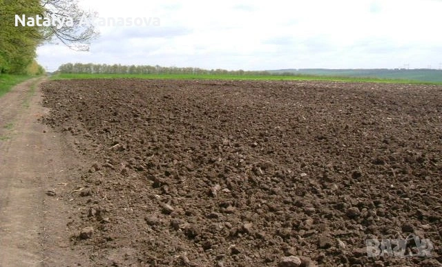 Парцел за продажба в Ведрина, Добрич, снимка 5 - Парцели - 53634666