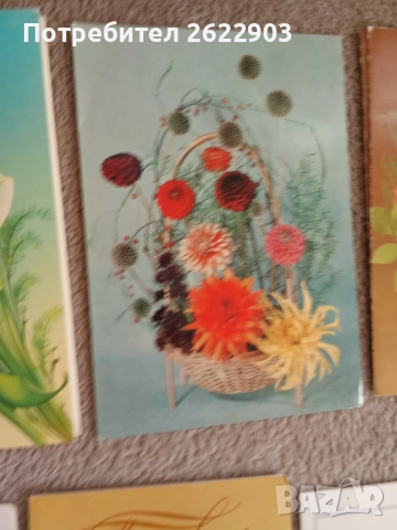 Руски поздравителни картички, снимка 6 - Колекции - 52413797