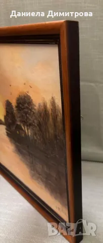 Рисувана картина на фазер, снимка 4 - Картини - 48449553