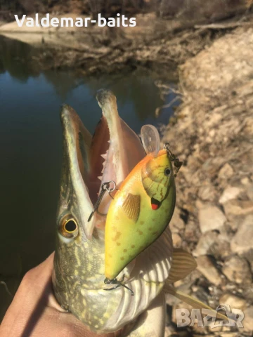 Воблер VALDEMAR ръчна изработка, снимка 16 - Такъми - 15194570