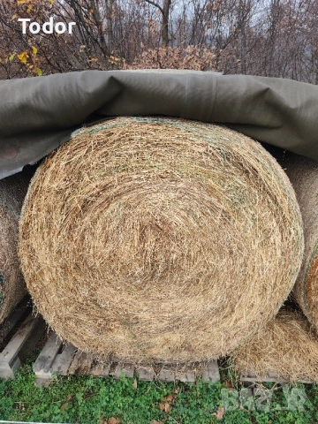 Продавам рулонни бали смес от сено и люцерна 