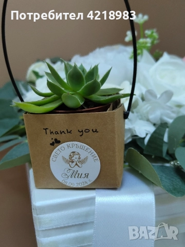 НАМАЛЕНИЕ!!! СУКУЛЕНТИ В ЧАНТИЧКА