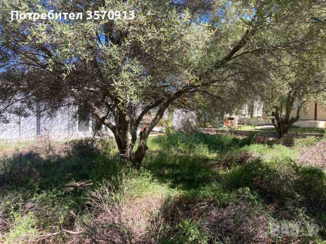 Парцел в Халкидики, снимка 8 - Парцели - 52634297