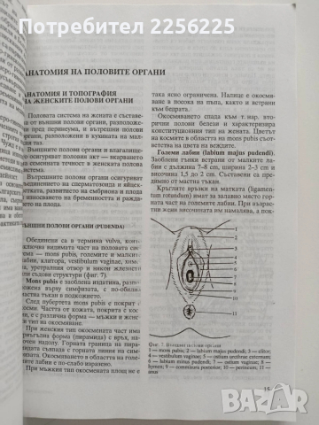 Акушерство, снимка 8 - Специализирана литература - 53633807