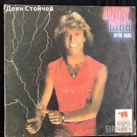 Andy Gibb ‎– After Dark/Грамофонна плоча, снимка 1 - Грамофонни плочи - 49598055