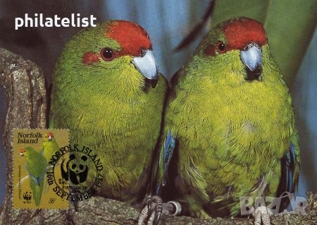 Норфолк 1987 - 4 броя Карти Максимум - WWF, снимка 3 - Филателия - 38788482