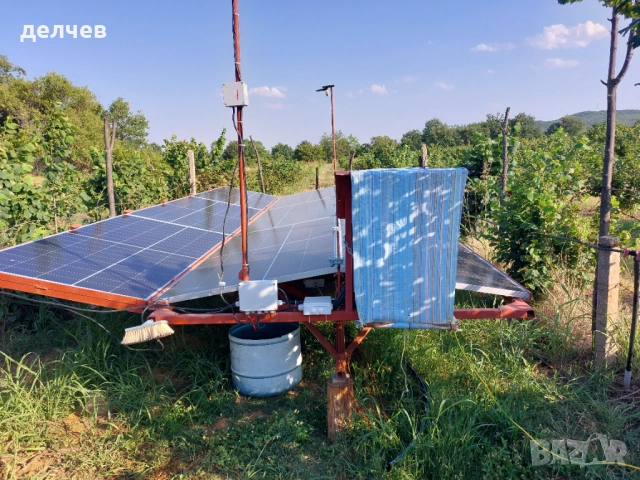 Продавам лешникова градина на 11 години, снимка 12 - Земеделска земя - 43984029