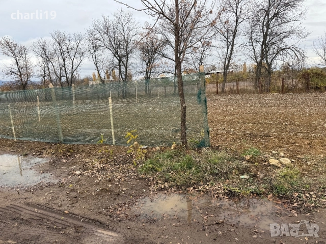 От собственик парцел 1 декар в Ботунец, снимка 6 - Парцели - 52428886