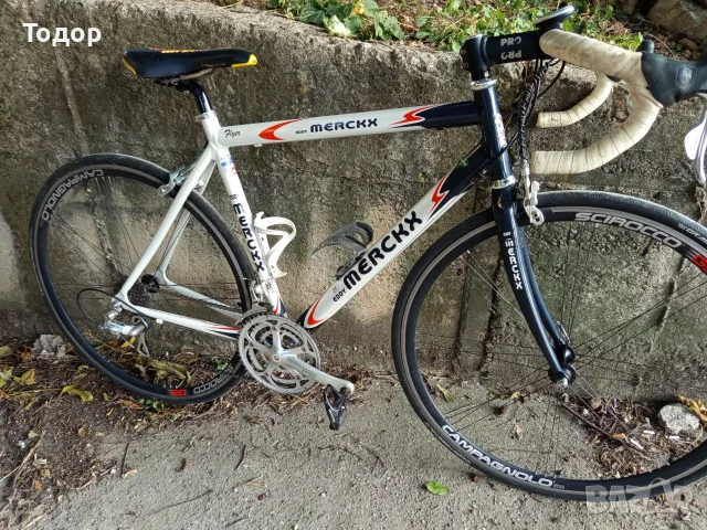EddyMerckx Campagnolo 