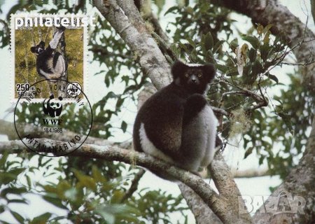 Мадагаскар 1988 - 4 броя Карти Максимум - WWF, снимка 3 - Филателия - 38896790