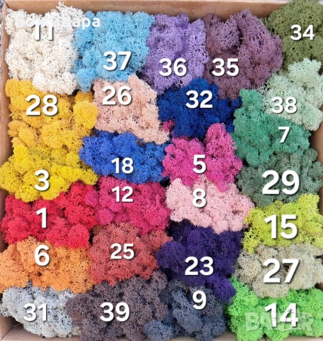 ! Промоционални Цени Скандинавски мъх