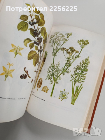 Съвременна фитотерапия, снимка 5 - Специализирана литература - 53270296