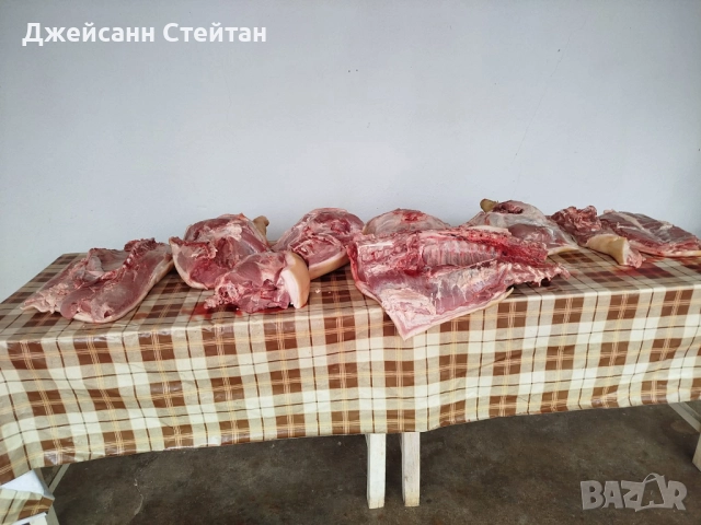 Прясно свинско месо, снимка 3 - Прасета - 52547331