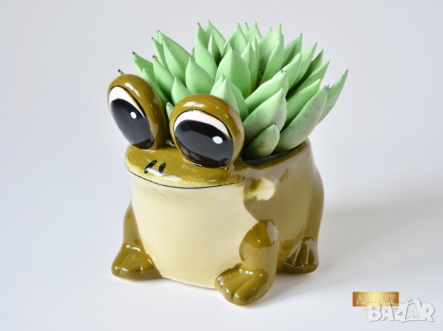 Керамична саксия - жаба / Подарък за нов дом / Керамична саксия с форма на жаба, снимка 8 - Декорация за дома - 40513271