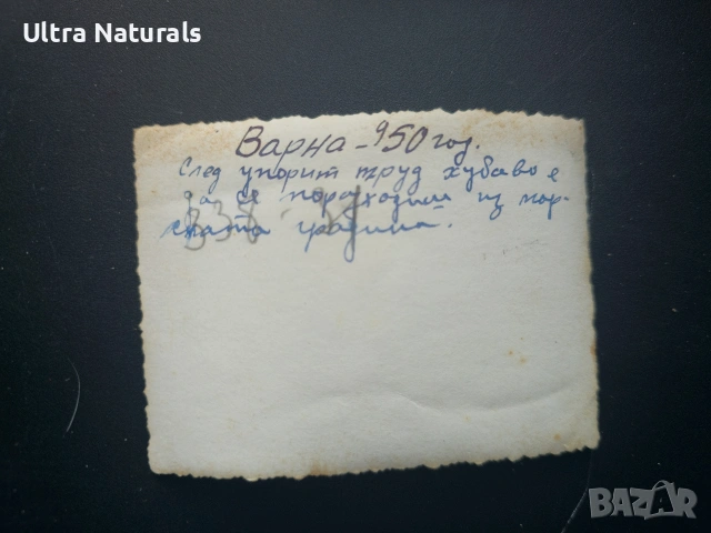 Албум със снимки 1948-1961г. Варна