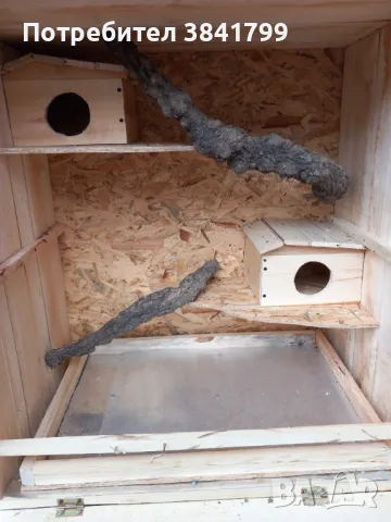 Клетка, къщичка за чинчила, снимка 11 - Чинчили - 48550695