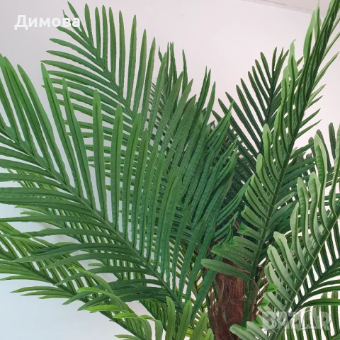 Палма изкуствена 240 см, снимка 3 - Други - 51019323