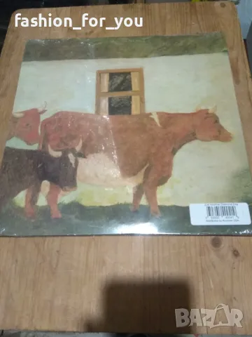 Грамофонна плоча Vashti Bunyan – Just Another Diamond Day, снимка 2 - Грамофонни плочи - 48949078