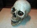 черепа 20х16х14см-антика 0101231028, снимка 8