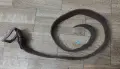 Стар Италиански Колан Естествена Кожа , снимка 4