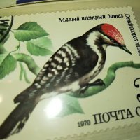 МАРКА 15 1979 СССР 1603231636, снимка 1 - Филателия - 40024353