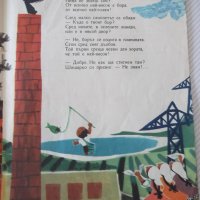 Книга "Шишарко и самолетчето - Леда Милева" - 16 стр., снимка 4 - Детски книжки - 41416253