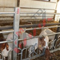 Хранителни решетки със заключващ механизъм за овце и кози, снимка 8 - За селскостопански - 34655140