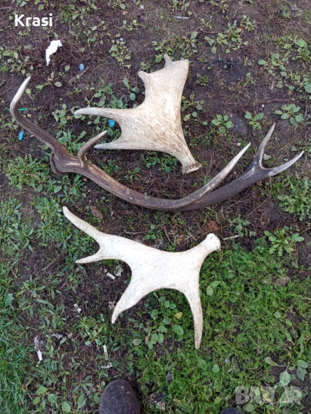 Raga 3br , снимка 1