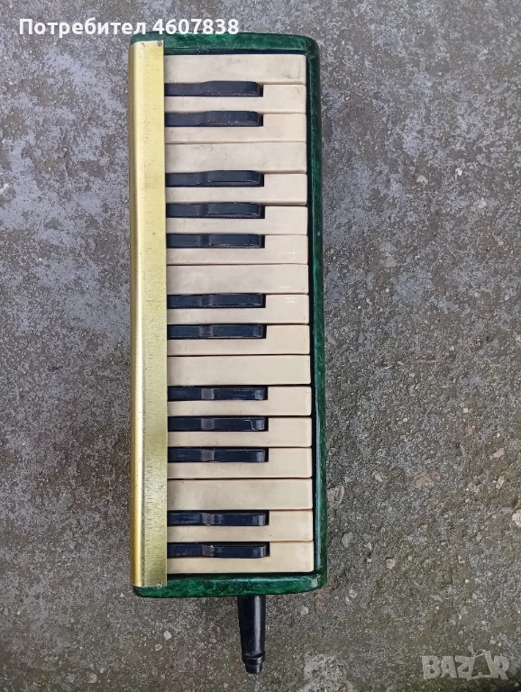 Мелодика, снимка 1