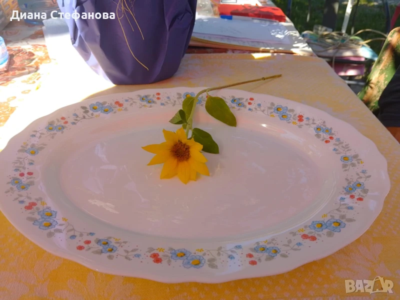 Плато испански аркопал, снимка 1