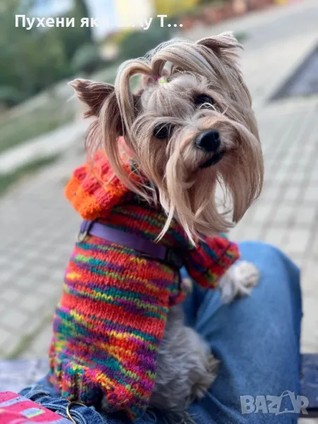 Плетена дрешка за куче по Индивидуален размер Различни цветове , снимка 1
