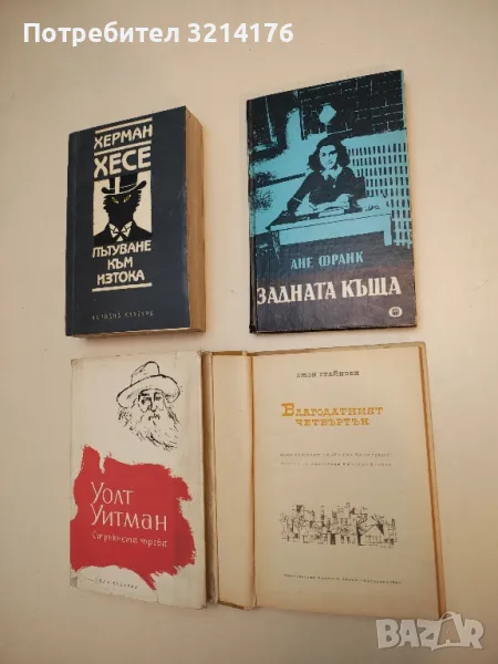 Задната къща - Ане Франк, снимка 1