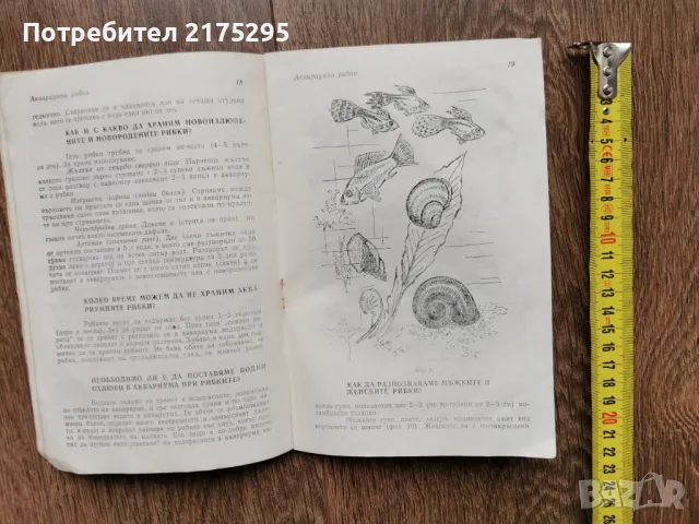 Аквариумни рибки-Г.Кондов-1991г., снимка 6 - Рибки - 49698717