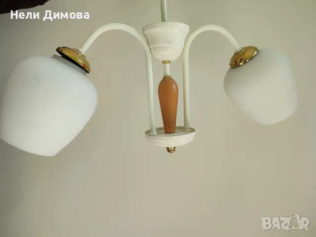 два полилея за 30 лв., снимка 4 - Полилеи - 49330938