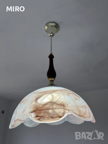 Полилей внос от Холандия, снимка 6 - Полилеи - 52500764