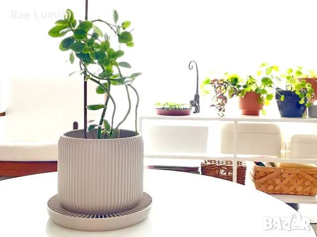 Самополиваща саксия, снимка 1