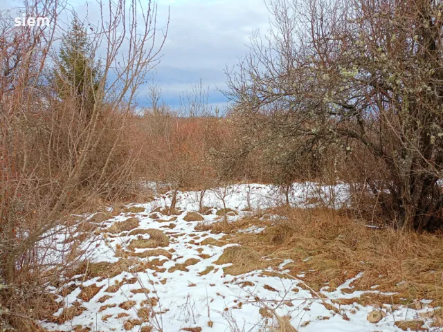 Дворно място/ Парцел 1000 кв.м, снимка 6 - Парцели - 33885672