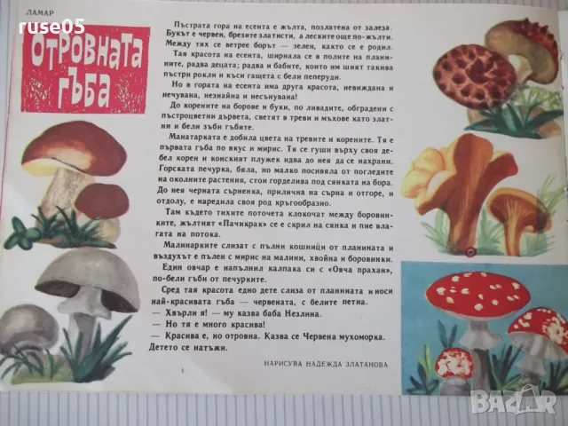 Списание "Славейче - книжка 9 - 1966 г." - 16 стр., снимка 3 - Списания и комикси - 47648483