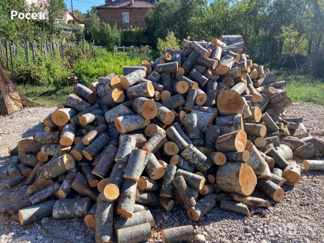 ПРОМОЦИОНАЛНА ЦЕНА - ДЪРВА ЗА ОГРЕВ - нарязани и нацепени, снимка 9 - Дърва за огрев - 42210364