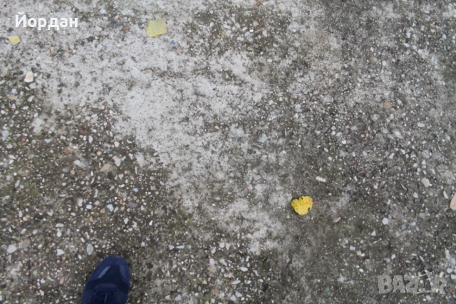 Графики офорт, снимка 12 - Картини - 52754991