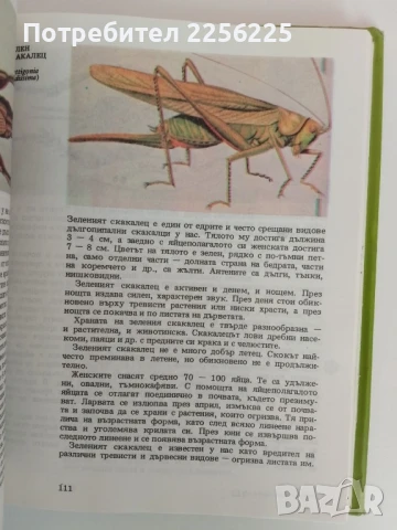 Атлас по зоология, снимка 3 - Специализирана литература - 51166042