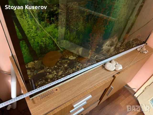 Аквариум с филтърна помпа и шкаф, снимка 5 - Аквариуми - 53759556