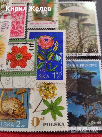 Пощенски марки смесени ЦВЕТЯ от цял свят перфектно състояние за КОЛЕКЦИЯ 22632, снимка 12 - Филателия - 40364561