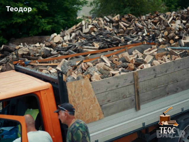 Общ работник - цепене и товарене на дърва, снимка 2 - Други - 51476701