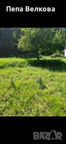 Дворно място в с.Ново Бърдо