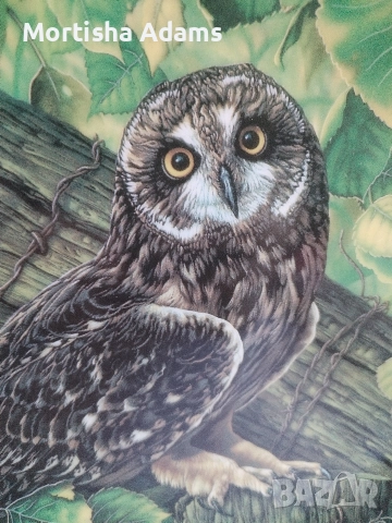 Декоративна чиния "Късоухата сова", снимка 2 - Колекции - 52787996